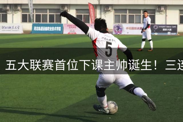 五大联赛首位下课主帅诞生！三连败0分垫底，紫百合烂摊子谁来接？